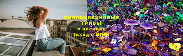 дурь Михайловка