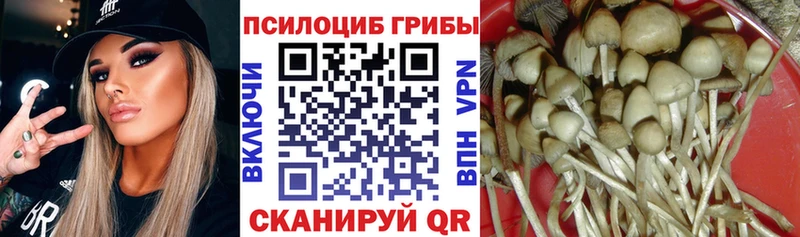 Псилоцибиновые грибы мухоморы  где купить   Екатеринбург 