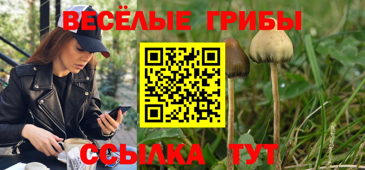 Галлюциногенные грибы прущие грибы Екатеринбург